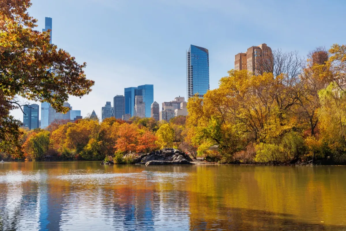 Herbstlich gefärbte Bäume am See im Central Park, dahinter die Hochhäuser der Upper West Side
