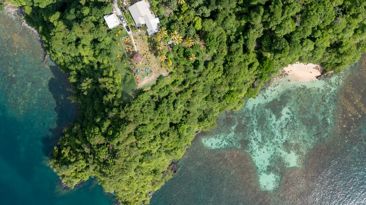 Küste und Bucht mit Korallenriff auf Tobago aus der Luft
